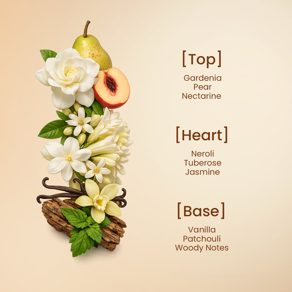 Tropical Oasis Eau de Parfum 50ml