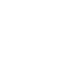 Premium Packaging